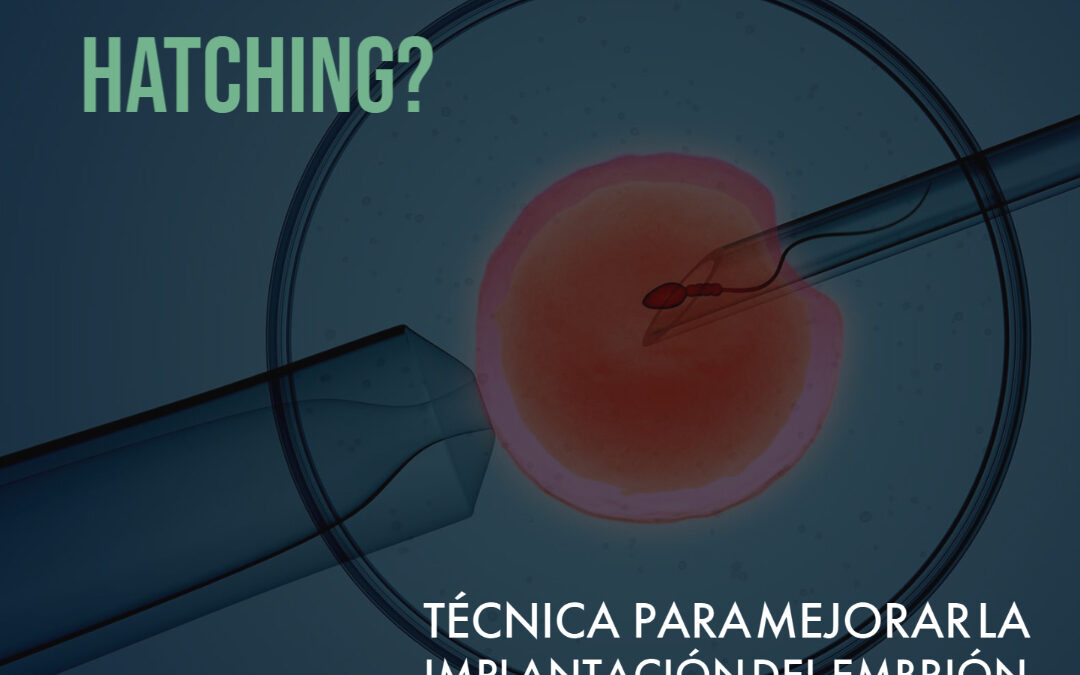 ¿Qué es  Assisted Hatching?