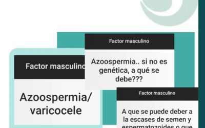 La azoospermia es una alteración que se caracteriza por la ausencia total de esp…