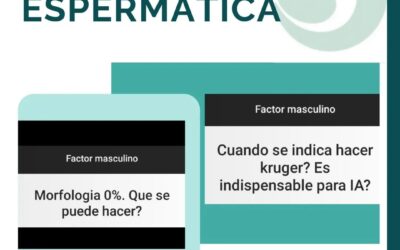 La morfología de los espermatozoides, o sea su forma, es uno de los parámetros q…