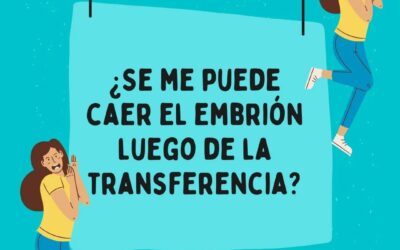 Después de la transferencia embrionaria ¿se me puede caer el embrión? 
La respue…